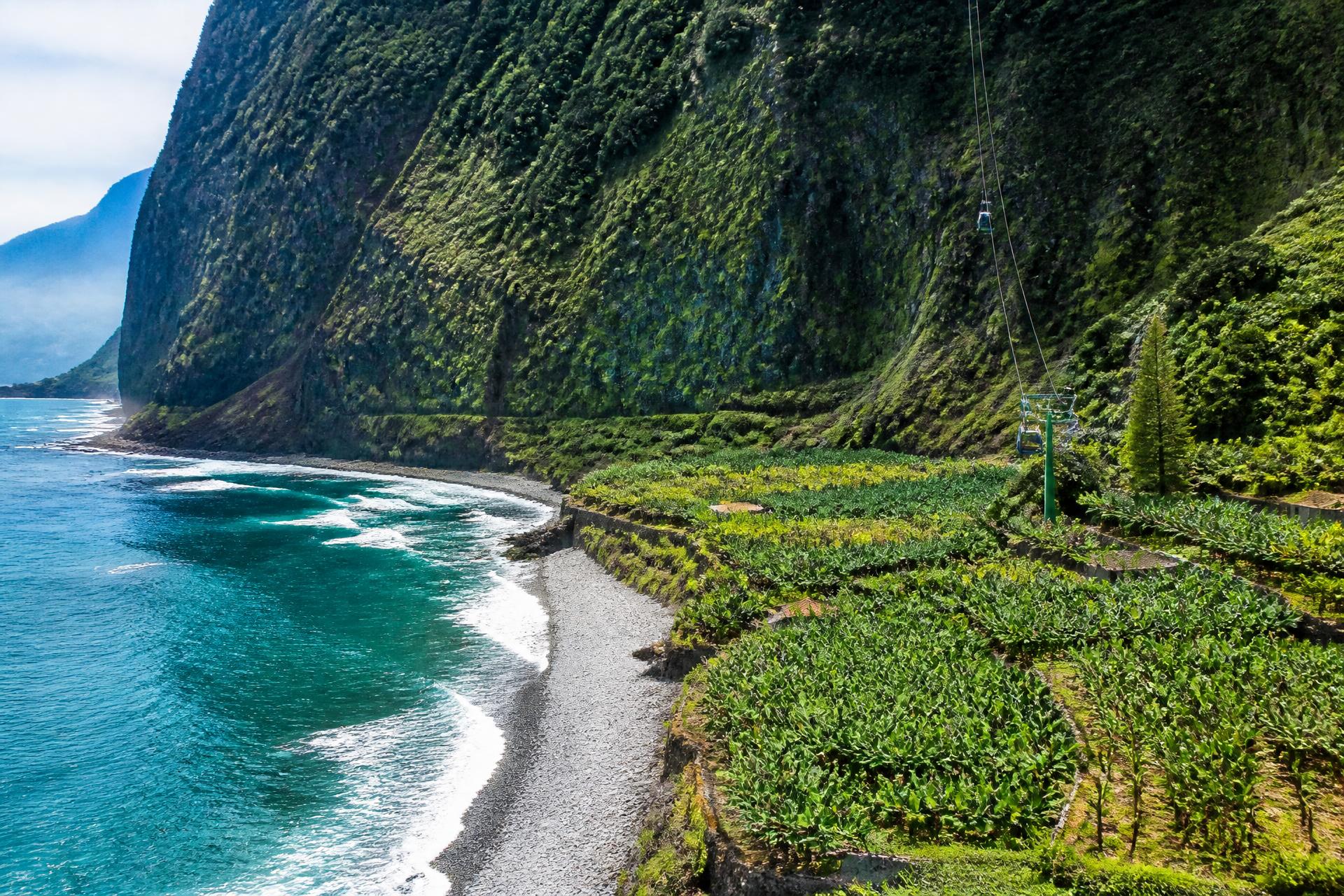 Fajã dos Padres à Madère, jardin subtropical au pied d'une falaise